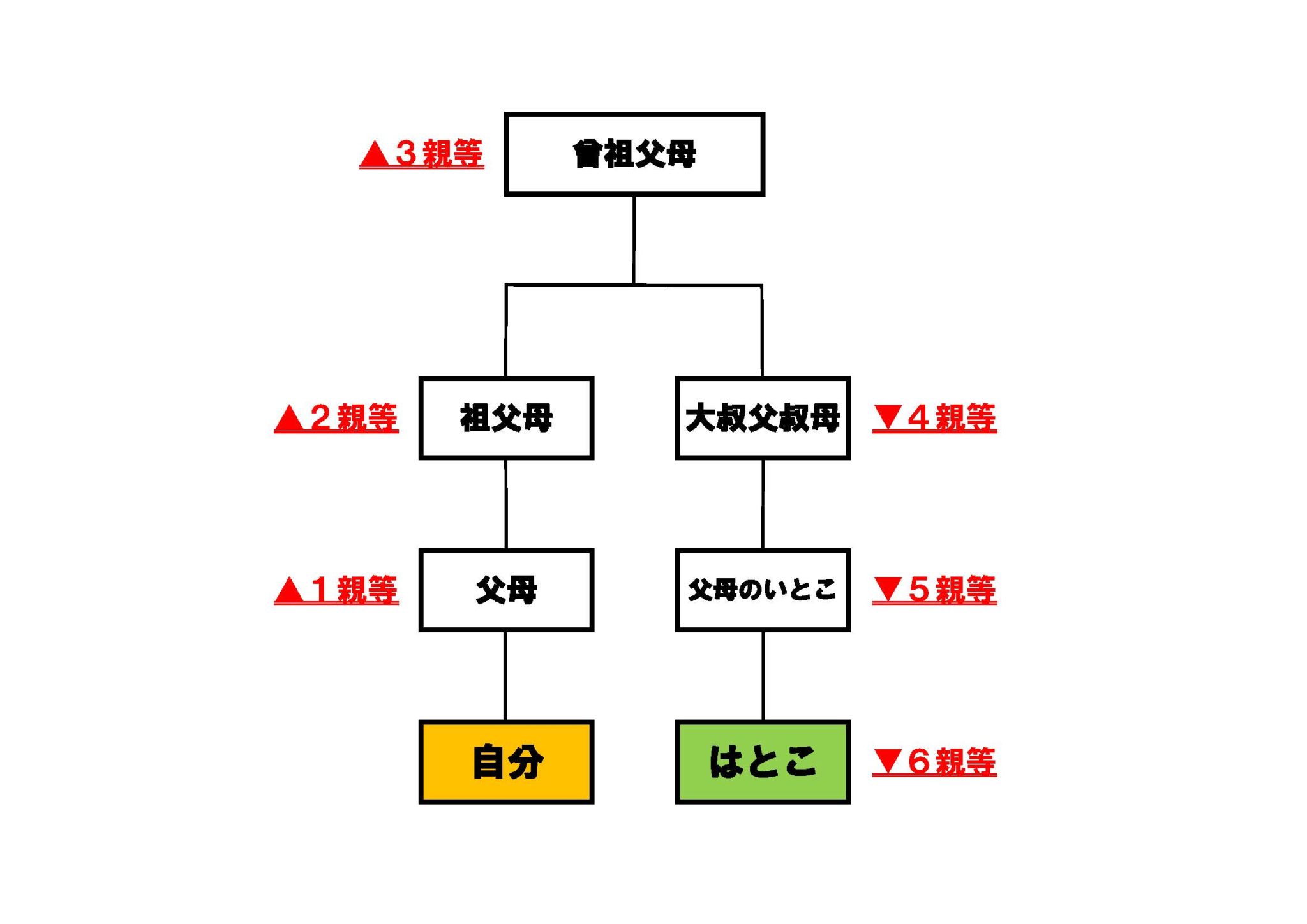 親等の数え方知ってますか?~法律のルールでは、はとこは親族にあたるのか~ | 相続相談サポート